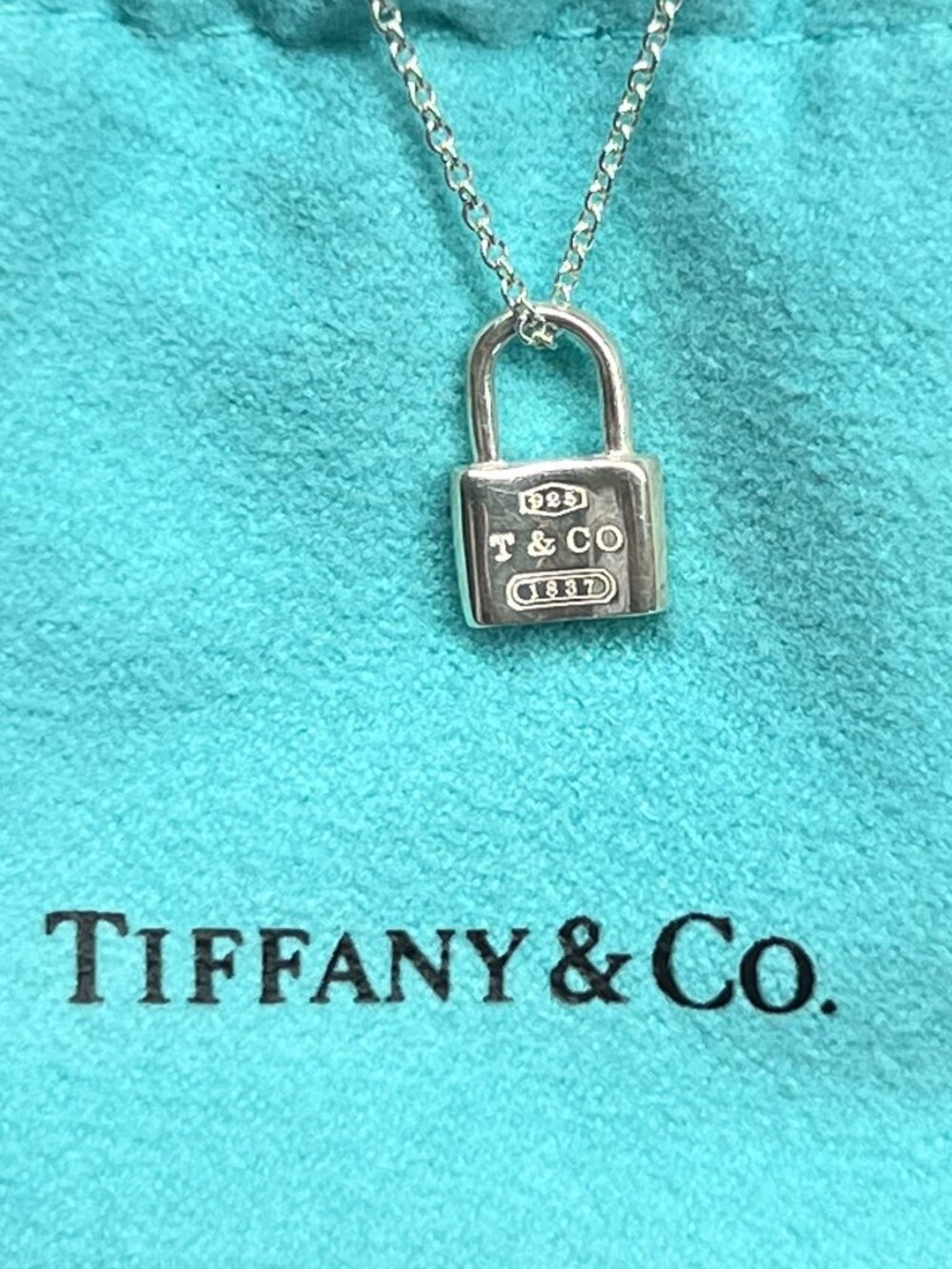 NWOT - Tiffany & Co. 1837 Iconic Lock Pendant Necklace Sterling Silver 925